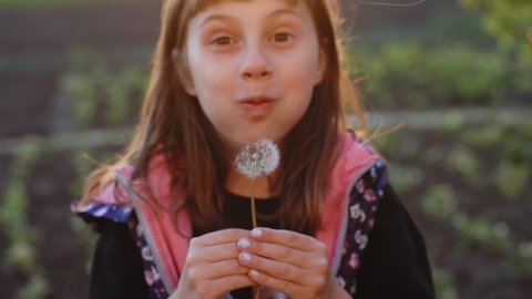 Beautiful Young Child in green grass blowing dandelion at sunset. Outdoors. Enjoy Nature. Healthy Smiling Girl on summer lawn. Allergy free concept. Gorgeous slim mixed race caucasian female.