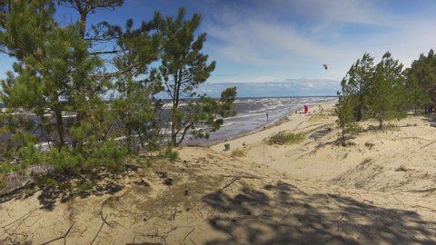People came to the Baltic beach in a strong wind to practice kiteboarding. Sunny warm day on the coast of Latvia. Tall grass on a sandy beach.