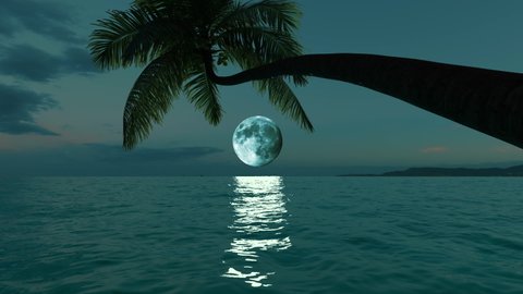 Palm tree over water and sea on a moonlit night