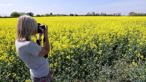 Beccles, UK 7 May 2022 : Blonde woman photographer taking photos of Blooming Rapeseed Field and of Yellow Flowers of Rape on Canola Background Blue Sky