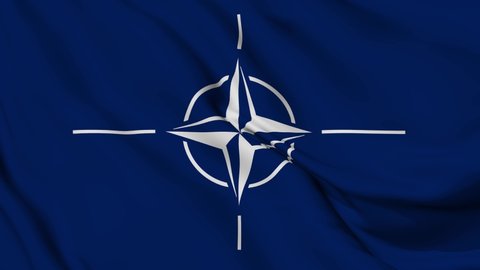 NATO flag. Realistic North Atlantic Alliance Flag background Motion video waving in wind. USA, New York - 22 March, 2022