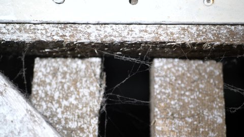 Close up of spiderweb on a wooden door