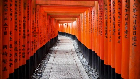 Empty Fushimi Inari full of torii gates in slowmotion Kyoto, Japan. Fushimi Inari Taisha shrine with no tourists. High quality slowmotion footage. ஸ்டாக் வீடியோ