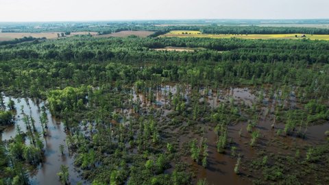 Aerial View Of Cache River State Natural Area, Illinois Bayou