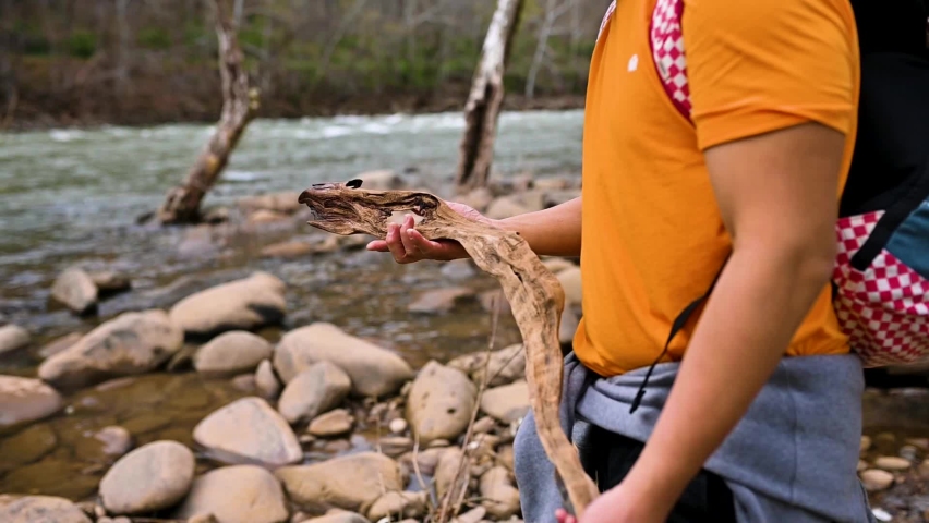 Looking For Driftwood For Campfire At New River Gorge In West Virginia