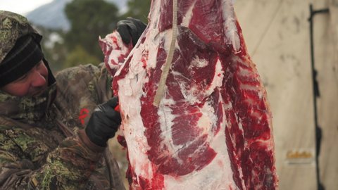 Man in camouflage field dressing Extracting Deer Meat in the hunting camp. Colorado Wilderness