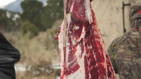 Close up of the meat of the hunted buck being extracted in the hunting camp. Wilderness meat extraction
