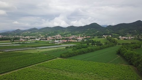 Vineyards with rural houses in Italy during a cloudy summer day. Aerial drone shot of the green hills and flat land in the Prosecco area.