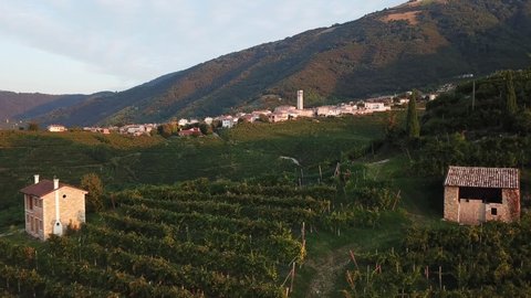 Vineyards with rural town in Italy during a sunny summer sunrise. Aerial drone shot of the green hills in the Valdobbiadene Prosecco UNESCO area.