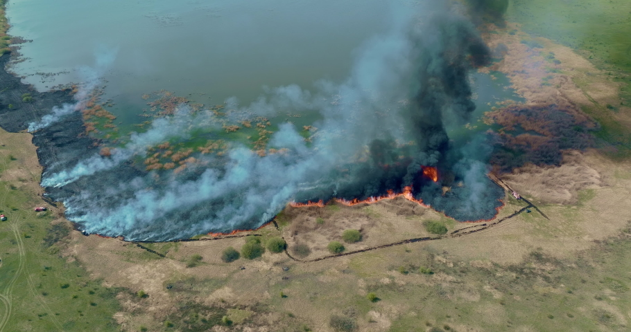 Aerial view, ecological disaster, burning trees in the field. Fire in the countryside, black tubers of smoke. Red flames of fire encircle the forest, natural disaster. 4k, ProRes