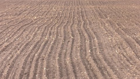 Field plowed for sowing spring crops in spring. Plowed field for crops. Soil cultivation. Fresh plowed land, plowed field at summer or springtime, freshly sowed or cultivated agricultural land
