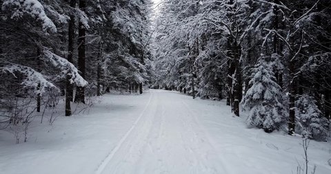 First person view. Walking through the winter forest. Trees covered with fresh fluffy snow. Smooth walk through winter wonderland. Hiking trail. Beautiful destination in the woods. Hiking and travel.