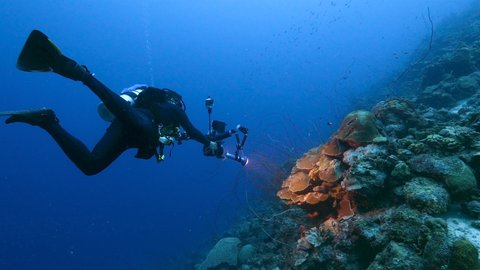 Professional diver, undersea cinematographer filming in coral reef of Caribbean Sea around Curacao