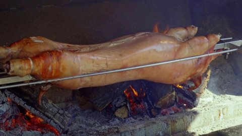 Fresh suckling pig on a skewer rotates over an open wood fire on a grill