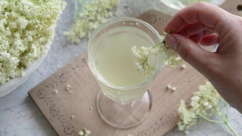 Putting fresh elder blossoms onto a glass of homemade herbal elder flower syrup