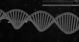 Animation of dna strand over black background. global science and digital interface concept digitally generated video.