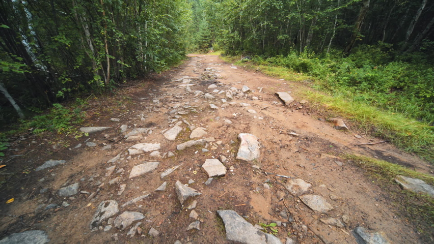 A stone trail in the Siberian forest.