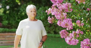 Video of happy biracial senior woman smelling flowers in garden. active retirement lifestyle, hobby and spending time outdoors.