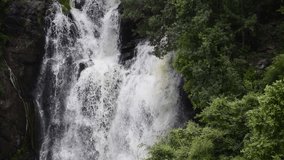 High speed waterfall with water colliding with trees and rocks. A Beautiful spectacle to watch 