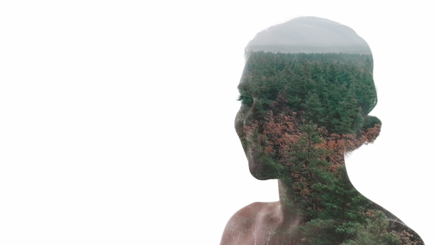 Nature harmony. Ecology vitality. Double exposure silhouette of relaxed happy woman face with aerial view forest trees landscape isolated on white copy space. | Shutterstock HD Video #1090433775