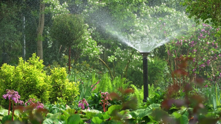 Watering the garden in spring, beautiful nature, trees, flowers and decorative shrubs | Shutterstock HD Video #1090435851