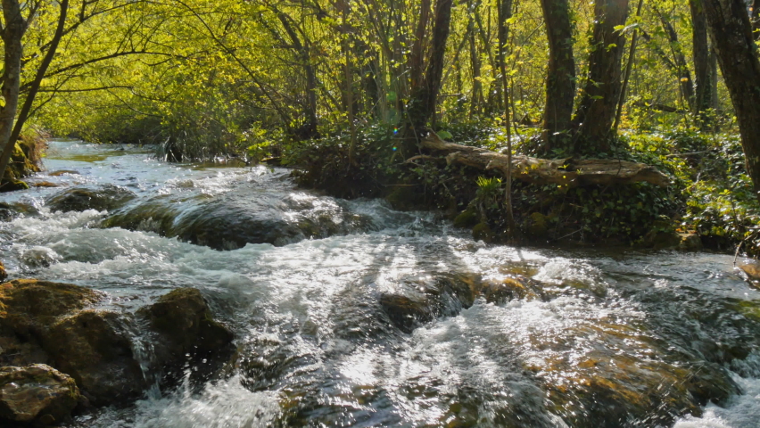 Plitvice Lakes National Park Croatia Europe. Streams of water flood the green biotope and form small cascades to the lower lake. It is one of the oldest and largest national parks in Croatia. 4K. 