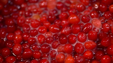Cranberries. Cooking cranberries in slow motion and tossing it into a bowl.