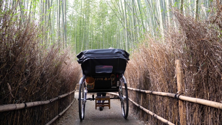 A rickshaw ride during a summer at arashiyama bamboo forest in Kyoto, japan. High quality footage