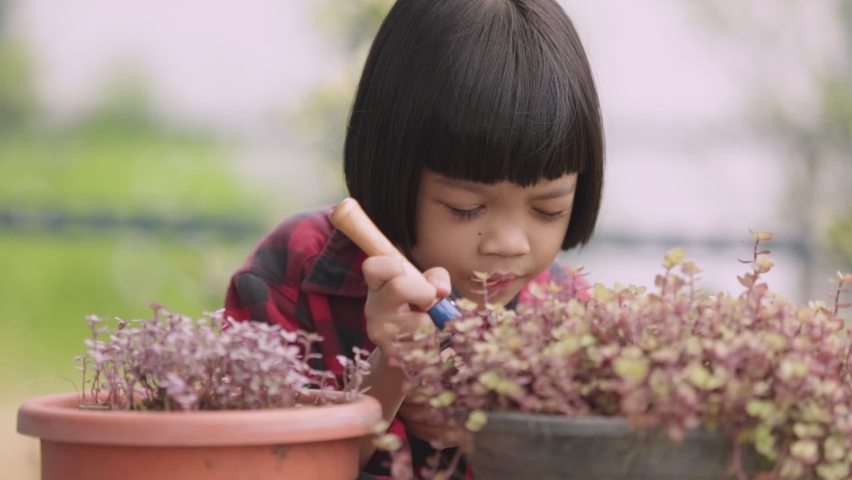 Thai Asian kid girl pretty face, standing in the garden caring for the plants. She planted Callisia Repens in a pot. It