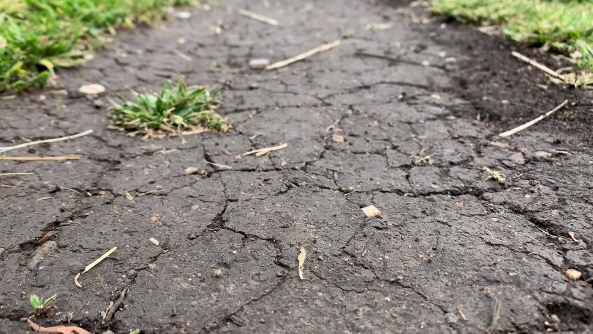 Wet path in the park