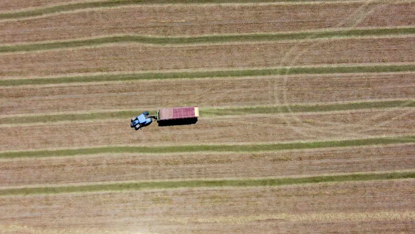 Above aerial drone view of a tractor harvesting yield barley, oat, wheat, grain in agriculture agribusiness europe romania cost of food inflation