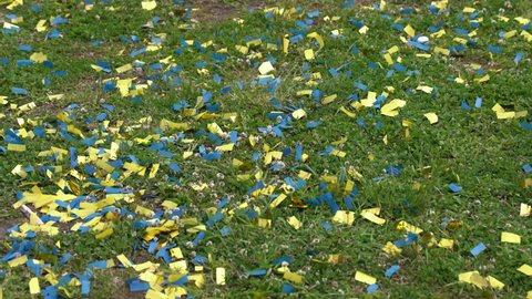 Confetti on the grass after students celebrated the completion of upper secondary school in Sweden. Blue and yellow confetti pieces matching Swedish national flag colors