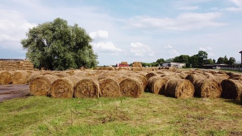 Kaliningrad, Russia, 13, August, 2021:
Haystacks are harvested on the farm for the winter, many bales of hay on the farm, drone flight over the harvesting