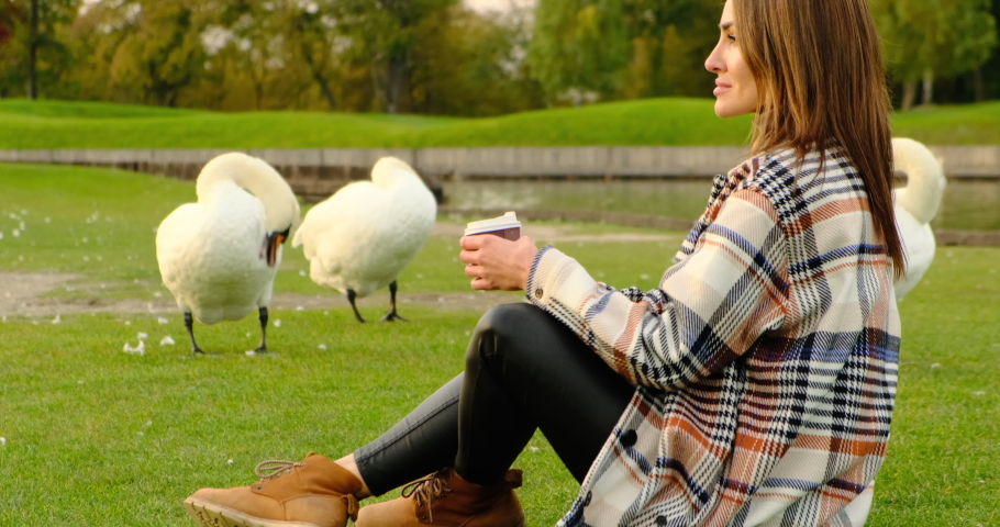 Beautiful swans of the swan park. an elegant girl in a coat sits on the green grass in a city park and drinks coffee, in the background a flock of white swans. woman enjoying the silence in the park | Shutterstock HD Video #1090469529