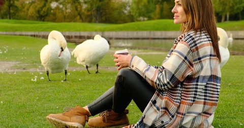 Beautiful swans of the swan park. an elegant girl in a coat sits on the green grass in a city park and drinks coffee, in the background a flock of white swans. woman enjoying the silence in the park