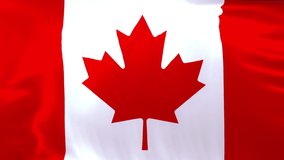 Waving realistic animation Canadian flag