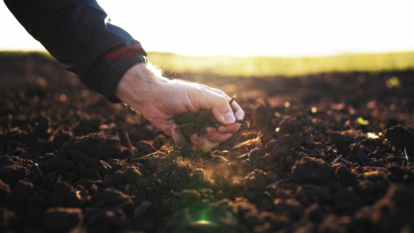 Hand of man on nature on field in sunlight squeezes the earth and it falls down blowing in the wind. Expert farmer checking soil health before growth a seed or plant seedling. Nature healthy food.