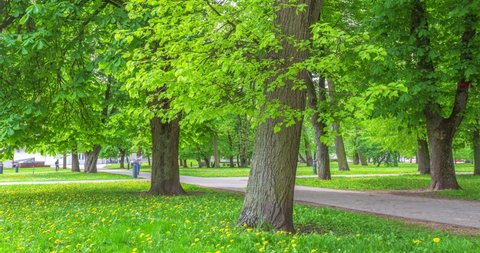 MAY 20, 2022: People walking in the city park in Vilnius, Lithuania