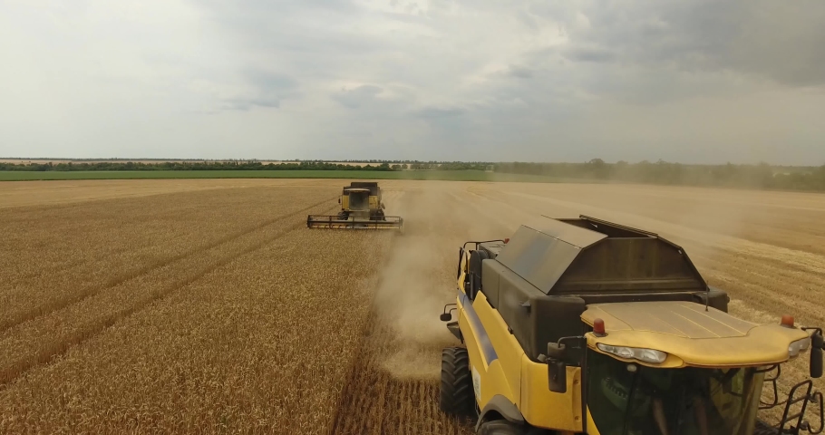 Combine in the field harvests wheat | Shutterstock HD Video #1090475605