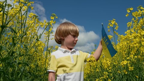 Ukraine, Lviv region, Little Ukrainian, cute boy in rapeseed holding a Ukrainian flag and smiling sweetly. Rapeseed, blue-yellow Ukrainian colors