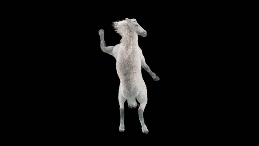 White Horse Dancing, 3d rendering, Animation Loop, cartoon, included in the end of the clip with Alpha matte. | Shutterstock HD Video #1090477509
