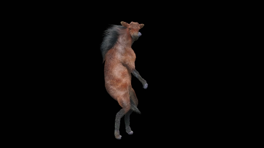 Horse Dancing, 3d rendering, Animation Loop, cartoon, included in the end of the clip with Alpha matte. | Shutterstock HD Video #1090477511