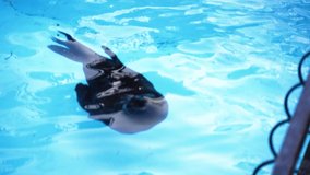 the seal dives underwater in the pool