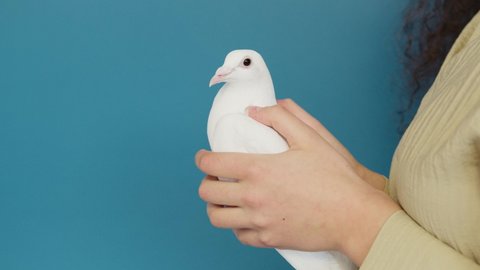 Woman holding a dove. Close up footage of woman holding a dove. Beautiful footage of woman holding a dove.
