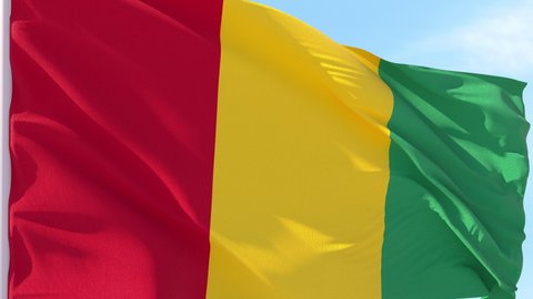 Guinea Flag Looping Background fluttering in the wind against a blue sky on a seamless loop.