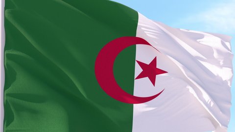 Algeria Flag Looping Background fluttering in the wind against a blue sky on a seamless loop.