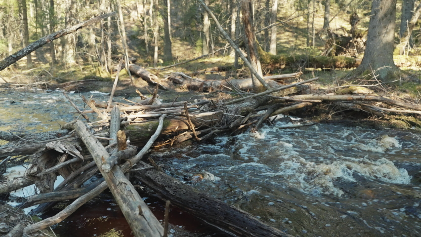 Blockage on the forest river from fallen trees | Shutterstock HD Video #1090483227
