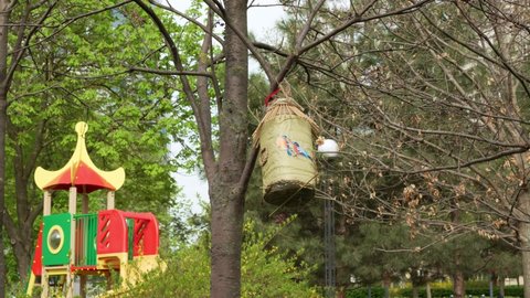 homemade bird feeder on a tree near the playground. instilling in children a love of nature and animals.