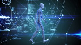 Animation of network of connections and data processing over human body model. science and data processing concept digitally generated video.