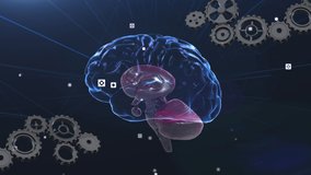 Animation of brain rotating over navy background with cogs. great ideas, mind and thinking concept digitally generated video.